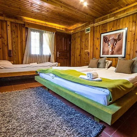 Olympos Paradise 3*