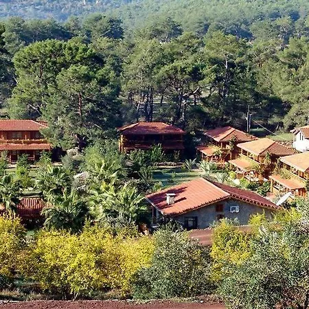 Olympos Paradise 3*